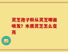 灵芝孢子粉从灵芝哪面喷发？木质灵芝怎么变亮