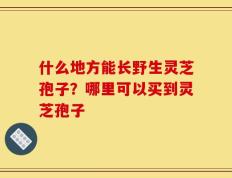 什么地方能长野生灵芝孢子？哪里可以买到灵芝孢子