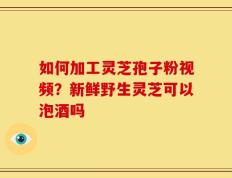 如何加工灵芝孢子粉视频？新鲜野生灵芝可以泡酒吗