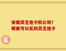 安徽灵芝孢子粉公司？哪里可以买到灵芝孢子