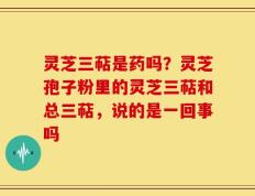 灵芝三萜是药吗？灵芝孢子粉里的灵芝三萜和总三萜，说的是一回事吗