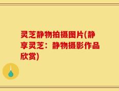 灵芝静物拍摄图片(静享灵芝：静物摄影作品欣赏)