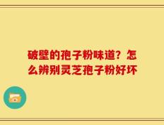 破壁的孢子粉味道？怎么辨别灵芝孢子粉好坏