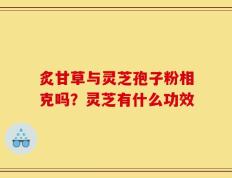 炙甘草与灵芝孢子粉相克吗？灵芝有什么功效