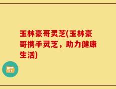玉林豪哥灵芝(玉林豪哥携手灵芝，助力健康生活)