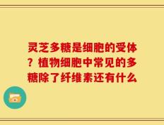 灵芝多糖是细胞的受体？植物细胞中常见的多糖除了纤维素还有什么