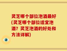 灵芝哪个部位泡酒最好(灵芝哪个部位适宜泡酒？灵芝泡酒的好处和方法详解)