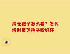 灵芝孢子怎么看？怎么辨别灵芝孢子粉好坏
