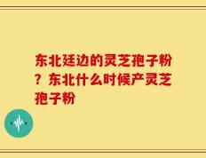 东北廷边的灵芝孢子粉？东北什么时候产灵芝孢子粉