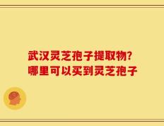 武汉灵芝孢子提取物？哪里可以买到灵芝孢子