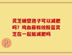 灵芝破壁孢子可以减肥吗？鸡血藤和绞股蓝灵芝在一起能减肥吗