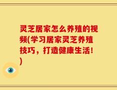 灵芝居家怎么养殖的视频(学习居家灵芝养殖技巧，打造健康生活！)
