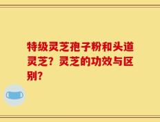 特级灵芝孢子粉和头道灵芝？灵芝的功效与区别？