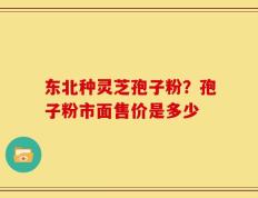 东北种灵芝孢子粉？孢子粉市面售价是多少