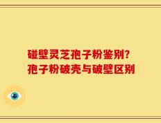 碰壁灵芝孢子粉鉴别？孢子粉破壳与破壁区别