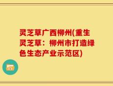 灵芝草广西柳州(重生灵芝草：柳州市打造绿色生态产业示范区)