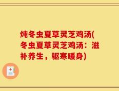 炖冬虫夏草灵芝鸡汤(冬虫夏草灵芝鸡汤：滋补养生，驱寒暖身)