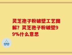 灵芝孢子粉破壁工艺图解？灵芝孢子粉破壁99%什么意思