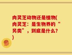 肉灵芝动物还是植物(肉灵芝：是生物界的“另类”，到底是什么？)