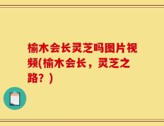 榆木会长灵芝吗图片视频(榆木会长，灵芝之路？)