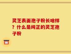 灵芝表面孢子粉长啥样？什么是纯正的灵芝孢子粉