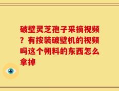 破壁灵芝孢子采摘视频？有按装破壁机的视频吗这个朔料的东西怎么拿掉