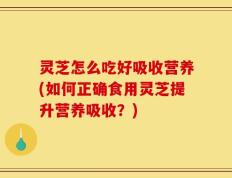 灵芝怎么吃好吸收营养(如何正确食用灵芝提升营养吸收？)
