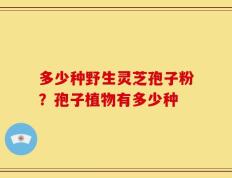 多少种野生灵芝孢子粉？孢子植物有多少种