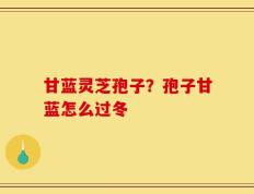 甘蓝灵芝孢子？孢子甘蓝怎么过冬