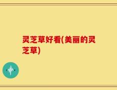 灵芝草好看(美丽的灵芝草)