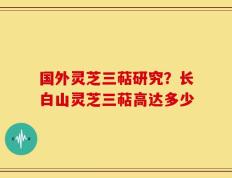国外灵芝三萜研究？长白山灵芝三萜高达多少