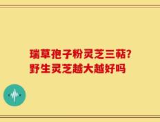 瑞草孢子粉灵芝三萜？野生灵芝越大越好吗