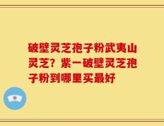 破壁灵芝孢子粉武夷山灵芝？紫一破壁灵芝孢子粉到哪里买最好