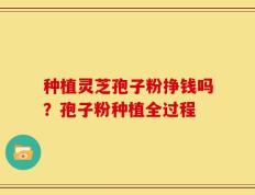 种植灵芝孢子粉挣钱吗？孢子粉种植全过程