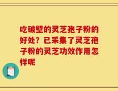 吃破壁的灵芝孢子粉的好处？已采集了灵芝孢子粉的灵芝功效作用怎样呢