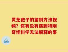灵芝孢子的鉴别方法视频？你有没有遇到特别奇怪科学无法解释的事