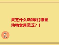 灵芝什么动物吃(哪些动物食用灵芝？)