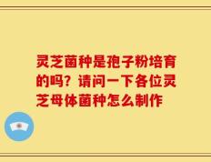 灵芝菌种是孢子粉培育的吗？请问一下各位灵芝母体菌种怎么制作