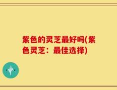 紫色的灵芝最好吗(紫色灵芝：最佳选择)