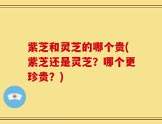紫芝和灵芝的哪个贵(紫芝还是灵芝？哪个更珍贵？)