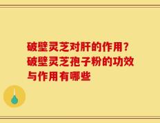 破壁灵芝对肝的作用？破壁灵芝孢子粉的功效与作用有哪些