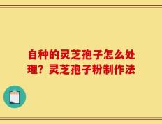 自种的灵芝孢子怎么处理？灵芝孢子粉制作法