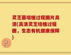 灵芝菌培植过程图片高清(高清灵芝培植过程图，生态有机健康保障)