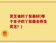 灵芝谁的丫鬟最好(哪个主子的丫鬟最会养生灵芝？)