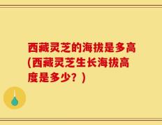 西藏灵芝的海拔是多高(西藏灵芝生长海拔高度是多少？)