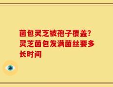 菌包灵芝被孢子覆盖？灵芝菌包发满菌丝要多长时间