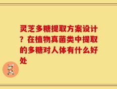 灵芝多糖提取方案设计？在植物真菌类中提取的多糖对人体有什么好处