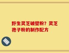 野生灵芝破壁粉？灵芝孢子粉的制作配方