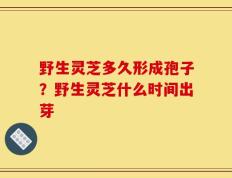 野生灵芝多久形成孢子？野生灵芝什么时间出芽