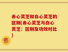 赤心灵芝和白心灵芝的区别(赤心灵芝与白心灵芝：区别及功效对比)